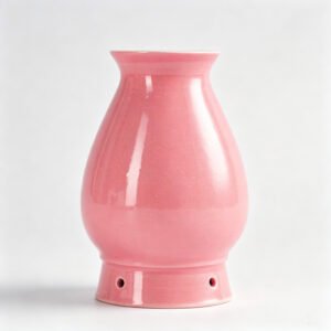 Facial moxibustion scraping jar