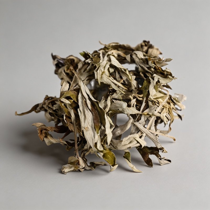 Mugwort Leaves - 图片 4